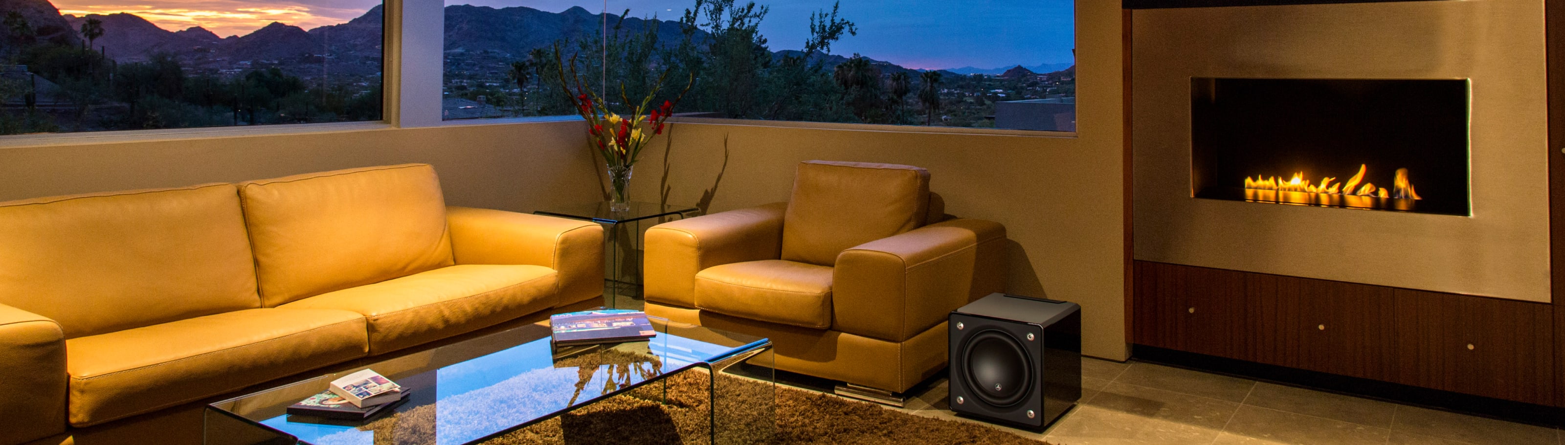 Home Audio